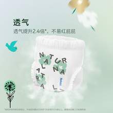   		好奇 心鉆 拉拉褲 小森林XL片 1.9元 		