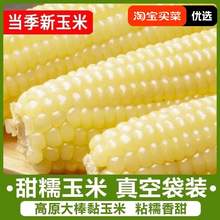   		新東北白糯玉米10根新鮮包郵健康營養(yǎng)自然甜玉米美味零食 6.9元 		
