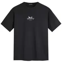   		太平鳥(niǎo)男裝T恤夏雙面布涼感短袖潮男字母刺繡休閑百搭短袖上衣 154元 		
