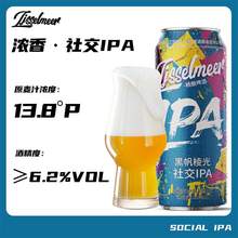   		Ijsselmeer 社交IPA 精釀 麥芽度13.8°P經(jīng)典500ml*12瓶 烈性啤酒 券后55.9元 		
