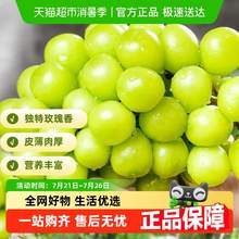   		88VIP會員：PANZHIHUA FRUIT 陽光玫瑰葡萄新鮮水果香印青提子現(xiàn)摘水果3斤 大果 券后20.71元 		