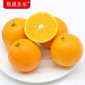 松鼠樂樂  黔陽冰糖橙 10斤  