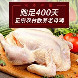 優(yōu)旋 安徽皖北農(nóng)家散養(yǎng)老母雞 2斤*2只