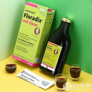 Salus Floradix 铁元 绿瓶 补铁补血营养液500ml