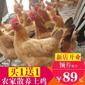 辛農(nóng)萌 蘇北農(nóng)家散養(yǎng)老母雞 1400g*2只