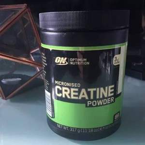 Optimum Nutrition 欧普特蒙 微粉化肌酸粉317g 