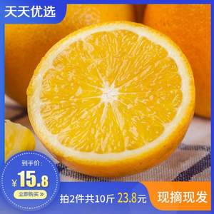 诗慕 湖南麻阳冰糖橙 5斤 