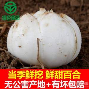 米家山 蘭州新鮮百合500g 