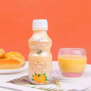椰汁岛 甜橙味乳酸菌饮品338ml*12瓶
