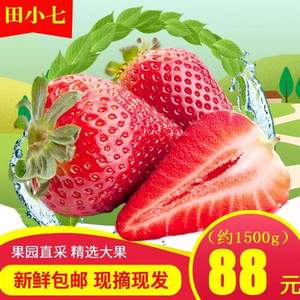 田小七 新鲜现摘红颜奶油草莓 3斤