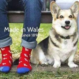 Corgi Socks英國(guó)官網(wǎng) Winter sale六折起