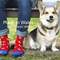 Corgi Socks英国官网 Winter sale六折起