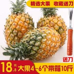问果 新鲜广西香水菠萝 10斤（净重9斤）