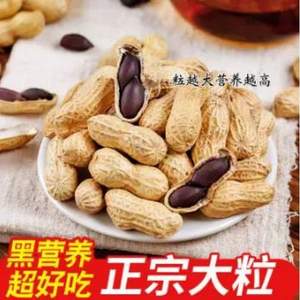 黑玉珍 帶殼黑皮花生500g