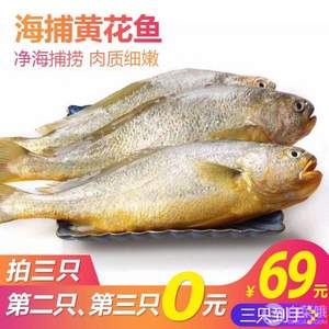 补券，浦津 新鲜冷冻野生大黄花鱼400g*3条