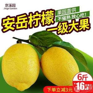 京溪园 四川安岳黄柠檬一级大果 5.5斤