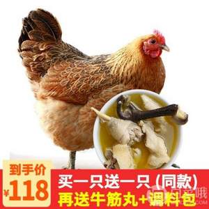 农谣 2年果林散养 老母鸡 杀前约3斤*2只 送牛筋丸+炖汤料