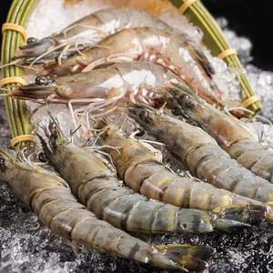 爱吃鱼 厄瓜多尔进口白虾1600g 50-60只/千克