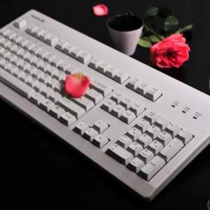 Cherry 樱桃 G80-3494 红轴机械键盘 白色