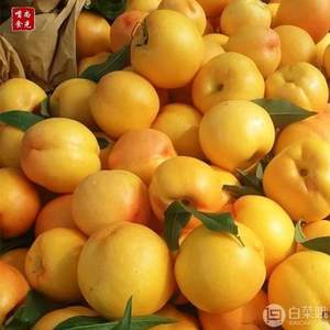 嘴尚食光 山東黃心油桃3斤