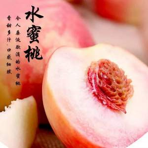 芊果粒 砀山新鲜水蜜桃5斤