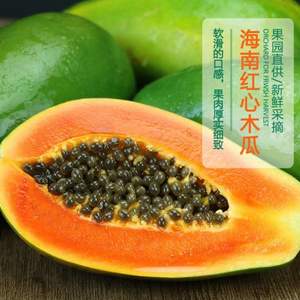 莜秀 海南紅心木瓜 10斤 