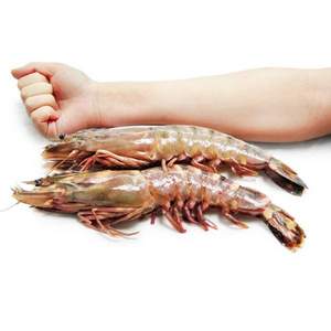mr seafood 京鮮生 冷凍大虎蝦 1kg（14-16個）*2件 