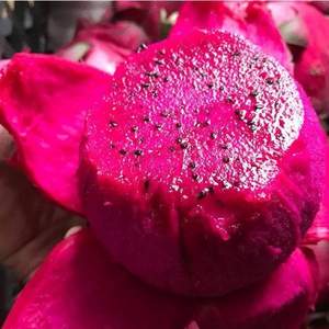 姚綠鮮 廣西新鮮紅心火龍果 5斤裝（拍2件）