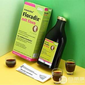 Salus Floradix 铁元 绿瓶 补铁补血营养液500ml 