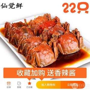 仙觉鲜 鲜活小螃蟹六月黄 22只（0.9-1.2两 ）