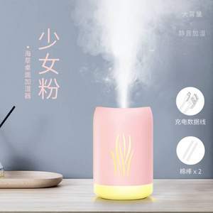 賓博 USB 迷你桌面加濕器