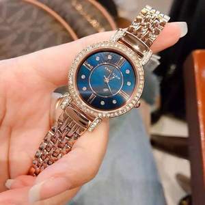 Anne Klein 安妮·克莱因 AK/2928NVRG 施华洛世奇水晶玫瑰金手镯手表