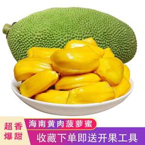 莜秀蔬果 海南新鲜菠萝蜜 22~25斤 