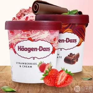 Haagen-Dazs 哈根达斯 冰淇淋460ml*2杯 