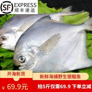 仙味鼎 青岛新鲜冷冻白鲳鱼 500g*5件（净鱼4.5斤以上）