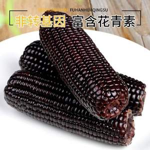 親耕 非轉(zhuǎn)基因 東北黑糯玉米 180g*5穗