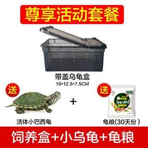 宠物小乌龟 送30天龟粮+乌龟盒