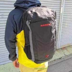 Mammut 猛犸象 Xeron Element 22L 電腦雙肩背包 兩色
