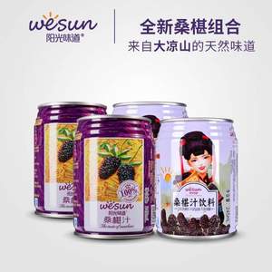 陽光味道  桑葚汁飲料組合裝245ml*4罐