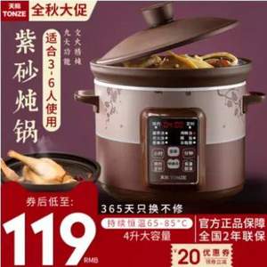 天际 DGD40-40AZWD 紫砂煲汤电炖锅4L 