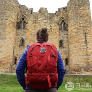 Osprey 小鹰 Farpoint 40 旅行双肩背包 S/M码