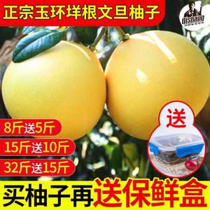 齐尚 浙江台州 玉环文旦柚2.5斤