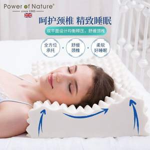 Power Of Nature 泰国进口乳胶枕单个