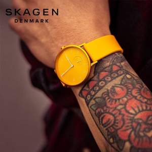 Skagen 诗格恩 SKW6509/SKW6510 中性时尚腕表 两色
