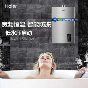 Haier 海尔 JSQ24-12ZD1(12T) 12升 燃气热水器