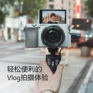 SONY 索尼 ILCE-6100 APS-C画幅（16-50mm）微单相机