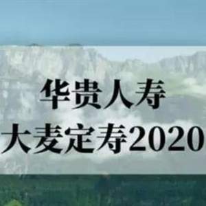 高性价比定期寿险推荐：华贵大麦2020