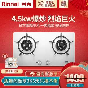 Rinnai 林内 RB-2E02SM 嵌入式燃气灶 4.5KW