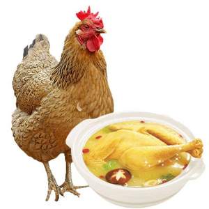 優(yōu)旋 安徽皖北農(nóng)家散養(yǎng)老母雞 2斤*2只