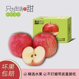 神山果农 高原蜜脆苹果当季红富士一级精品12枚6斤礼盒装